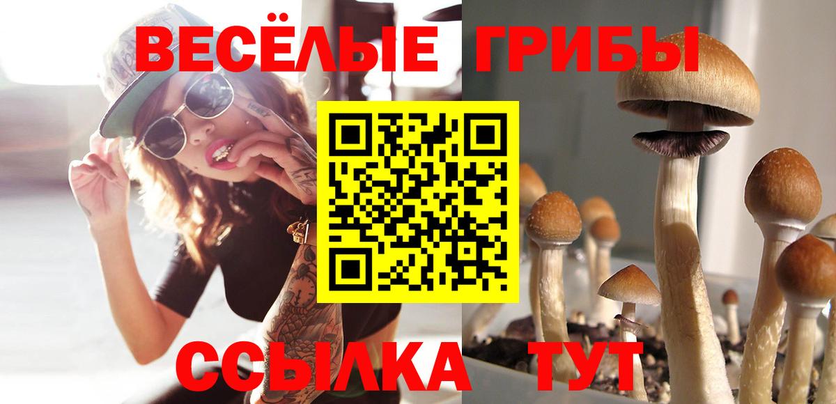 Галлюциногенные грибы MAGIC MUSHROOMS Воткинск